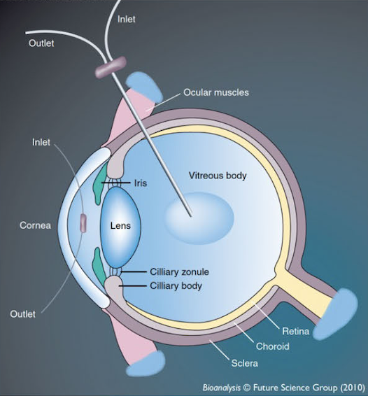 Ocular Microdialysis
