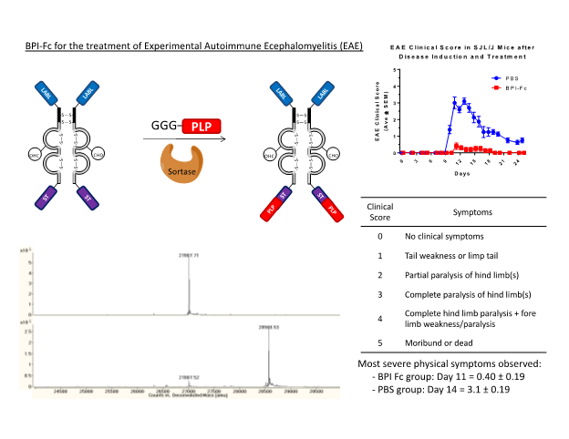 BPI-Fc for the treatment of Experimental Autoimmune Encephalomyelitis
