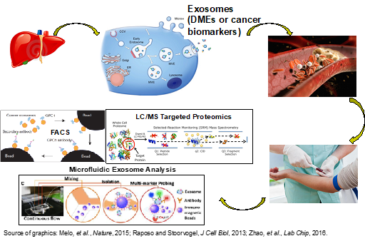 Detailed figure: Exosomes (DMEs or cancer biomarkers), Microfludic Exosome Analysis, LC/MS Targeted Proteomics