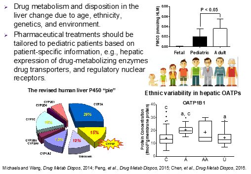 Detailed figure: Drug metabolism and disposition in the liver